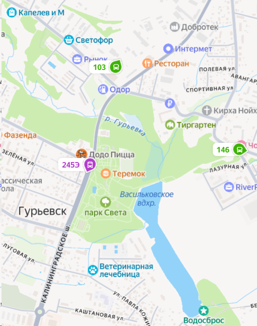 Яндекс Карты — автобусы онлайн Гурьевск
